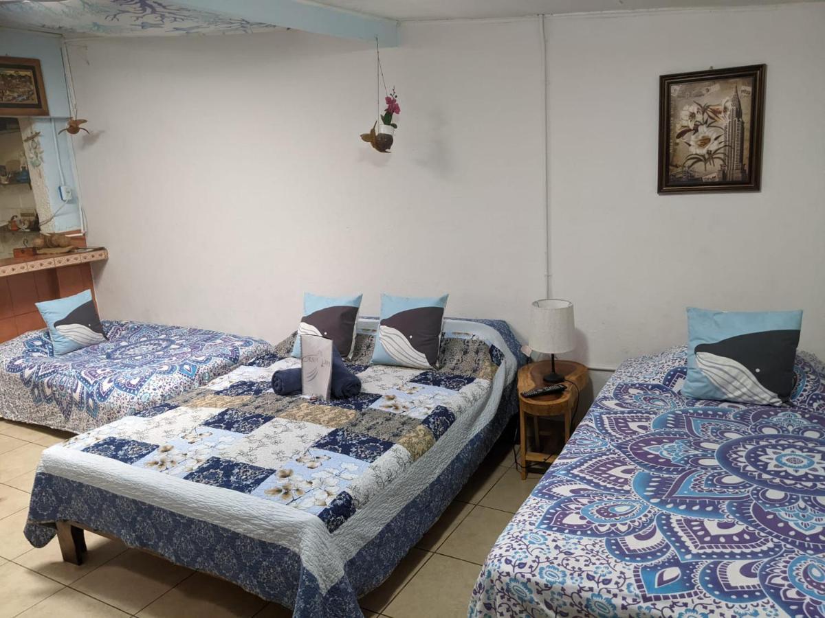 Guesthouse Casa Lapa Alajuela Dış mekan fotoğraf